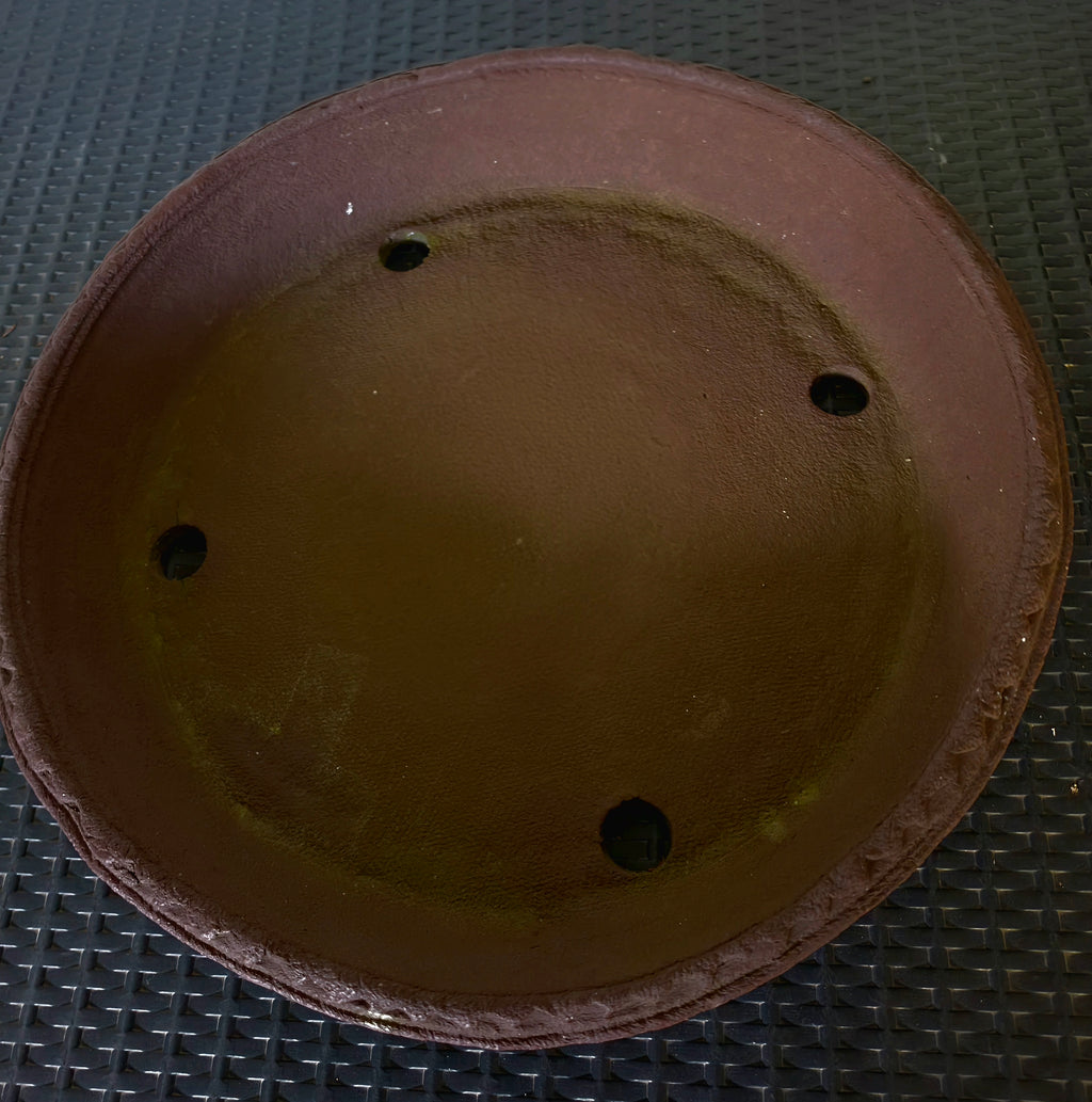 Tokoname Ryugaku Nan-ban Bonsai Pot: Handgemaakt, Zeldzaam, Professioneel
